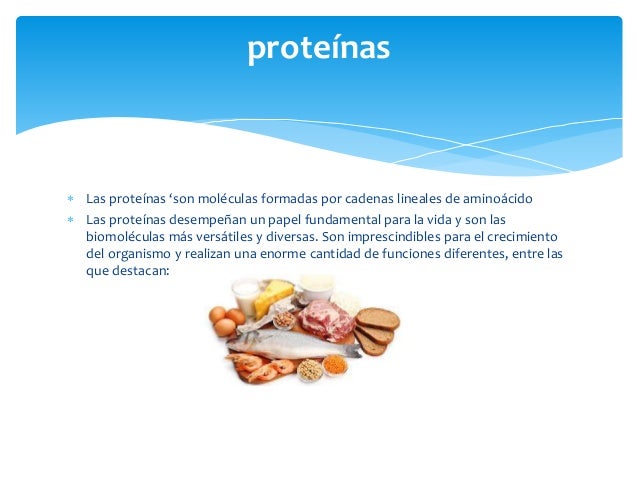 bioquimica de los alimentos