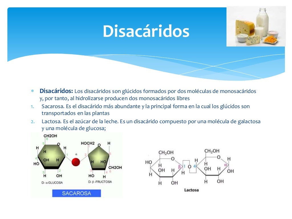 bioquimica de los alimentos