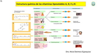 PRESENTACION_BIOQUIMICA_METABOLISMO VITAMINAS_TEORIA_2024A.pdf
