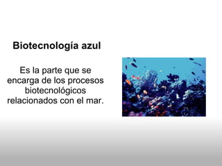Biotecnología azul
Es la parte que se
encarga de los procesos
biotecnológicos
relacionados con el mar.
 