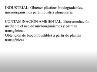 INDUSTRIAL: Obtener plásticos biodegradables,
microorganismos para industria alimentaria.
CONTAMINACIÓN AMBIENTAL: Biorremediación
mediante el uso de microorganismos y plantas
transgénicas.
Obtención de biocombustibles a partir de plantas
transgénicas
 