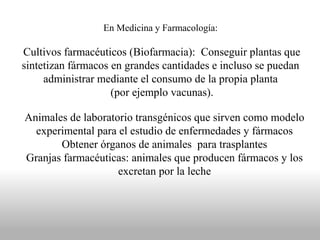 En Medicina y Farmacología:
Cultivos farmacéuticos (Biofarmacia): Conseguir plantas que
sintetizan fármacos en grandes cantidades e incluso se puedan
administrar mediante el consumo de la propia planta
(por ejemplo vacunas).
Animales de laboratorio transgénicos que sirven como modelo
experimental para el estudio de enfermedades y fármacos
Obtener órganos de animales para trasplantes
Granjas farmacéuticas: animales que producen fármacos y los
excretan por la leche
 