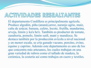 El departamento Cordillera es principalmente agrícola.
Produce algodón, piña (ananá),arroz, naranjo agrio, maíz,
caña de azúcar, banana, cafeto, locote, frutilla, mandarina,
arveja, limón y ka'a he'e. También es productor de tomate,
zanahoria, pomelo, limón sutil, maní y mandioca. Se
destaca también por la producción avícola a nivel nacional
y en menor escala, se cría ganado vacuno, porcino, ovino,
equino y caprino. Además este departamento es uno de los
que concentra más artesanos, los cuales trabajan en una
gran variedad de rubros como el tallado de madera, la
cerámica, la cestería así como trabajos en cuero y textiles.
 