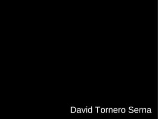 David Tornero Serna 