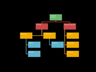 Amenazas
seguridad
Humanas
Maliciosas
Internas
Externas
No Maliciosas
Ignorancia
Desastres Naturales
Incendios
Inundaciones
Terremotos
 