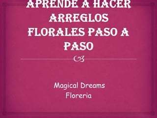 Magical Dreams
Floreria
 