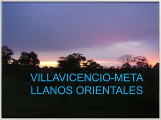 VILLAVICENCIO-META LLANOS ORIENTALES 