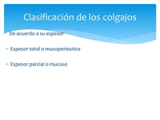De acuerdo a su espesor
 Espesor total o mucoperiostico
 Espesor parcial o mucoso
Clasificación de los colgajos
 