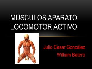 Julio Cesar González
William Batero
MÚSCULOS APARATO
LOCOMOTOR ACTIVO
 