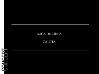 BOCA DE CHILA

   CALETA
 