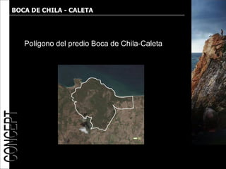 BOCA DE CHILA - CALETA




   Polígono del predio Boca de Chila-Caleta
 
