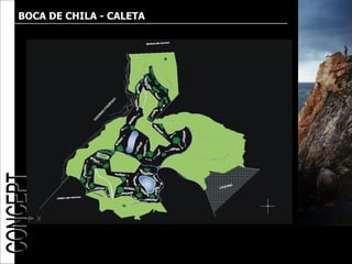 BOCA DE CHILA - CALETA
 