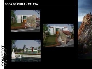 BOCA DE CHILA - CALETA
 