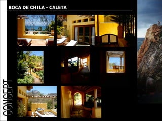 BOCA DE CHILA - CALETA
 