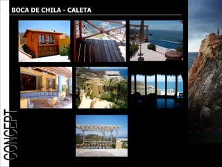 BOCA DE CHILA - CALETA
 