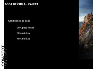 BOCA DE CHILA - CALETA




  Condiciones de pago


         30% pago inicial

         30% 40 días

         40% 60 días
 
