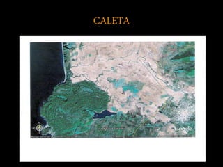 CALETA
 