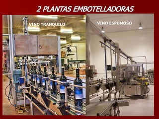 VINO TRANQUILO   VINO ESPUMOSO
 