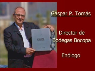 Gaspar P. Tomás


  Director de
Bodegas Bocopa

   Enólogo
 
