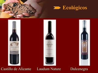 Ecológicos




Castillo de Alicante   Laudum Nature      Dulcenegra
 