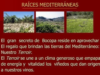 RAÍCES MEDITERRÁNEAS




El gran secreto de Bocopa reside en aprovechar
El regalo que brindan las tierras del Mediterráneo:
Nuestro Terroir.
El Terroir se une a un clima generoso que empapa
de energía y vitalidad los viñedos que dan origen
a nuestros vinos.
 