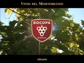 VINOS   DEL   MEDITERRÁNEO




          Alicante
 