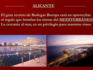 ALICANTE

El gran secreto de Bodegas Bocopa está en aprovechar
el regalo que brindan las tierras del MEDITERRÁNEO.
La cercanía al mar, es un privilegio para nuestros vinos
 