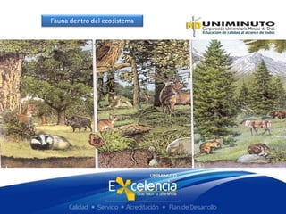 Fauna dentro del ecosistema
 