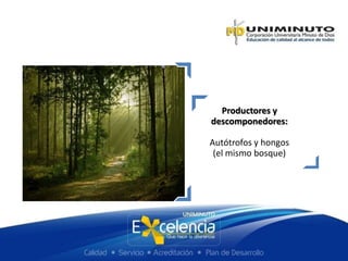 Productores y
descomponedores:
Autótrofos y hongos
(el mismo bosque)
 