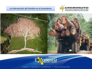 La intervención del hombre en el ecosistema
 