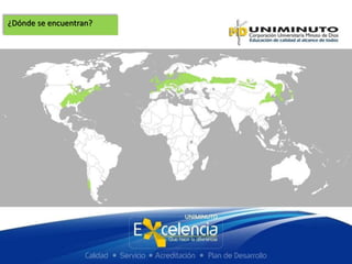 ¿Dónde se encuentran?
 