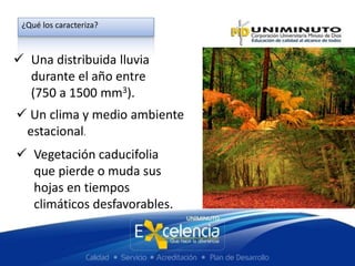  Una distribuida lluvia
durante el año entre
(750 a 1500 mm3).
¿Qué los caracteriza?
 Un clima y medio ambiente
estacional.
 Vegetación caducifolia
que pierde o muda sus
hojas en tiempos
climáticos desfavorables.
 