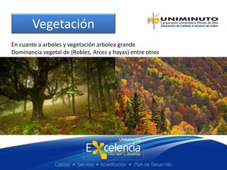 Vegetación
En cuanto a arboles y vegetación arbolea grande
Dominancia vegetal de (Robles, Arces y hayas) entre otros
 