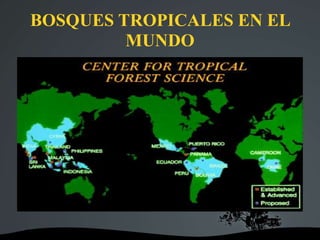 BOSQUES TROPICALES EN EL
MUNDO
 