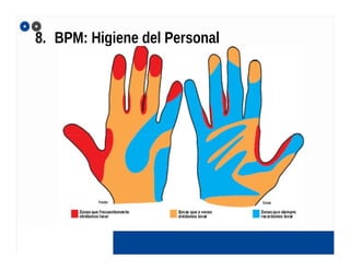 8. BPM: Higiene del Personal
 