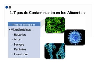 4. Tipos de Contaminación en los Alimentos
Peligros Biológicos
• Microbiológicos:
• Bacterias
• Virus
• Hongos
• Parásitos
• Levaduras
 