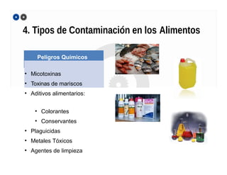 4. Tipos de Contaminación en los Alimentos
Peligros Químicos
• Micotoxinas
• Toxinas de mariscos
• Aditivos alimentarios:
• Colorantes
• Conservantes
• Plaguicidas
• Metales Tóxicos
• Agentes de limpieza
 