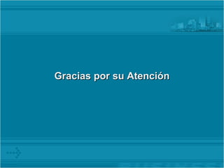 Gracias por su Atención 