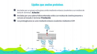 Lípidos que anclan proteínas
◉ Ancladas por un grupo acilo graso unido mediante enlaces covalentes a un residuo de
lisina N- terminal Acilación
◉ Ancladas por una cadena hidrocarbonada unido a un residuo de cisteína presente o
cercano al resiudo C-terminal Prenilación
◉ Los proteoglicanos se unen mediante enlaces covalentes mediante el GPI
8
 