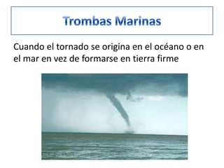 Cuando el tornado se origina en el océano o en
el mar en vez de formarse en tierra firme

 