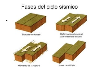Fases del ciclo sísmico
•
 