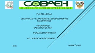 PLANTEL NOPALA
DESARROLLO Y CARACTERISTICAS DE DOCUMENTOS
ELECTRONICOS
“HIPOCAMPOS”
CABALLITOS DE MAR
GONZALEZ RIOFRIO ELSY
M.C LAURENCIA TREJO MONTIEL
4103 04-MAYO-2016
 