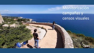 Monitorización
campañas y
censos visuales
 