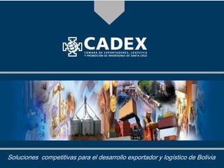 D
Soluciones competitivas para el desarrollo exportador y logístico de Bolivia
 