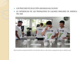  LOS PROCESOS DE SELECCIÓN ASEGURAN SU CALIDAD
 LO DIFERENCIAS DE LOS PRODUCIDOS EN LUGARES SIMILARES DE AMERICA
DEL SUR
http://www.dinero.com/pais/articulo/del-16-al-26-de-abril-se-llevara-a-cabo-el-primer-campamento-de-cafe-en-colombia/222760
 