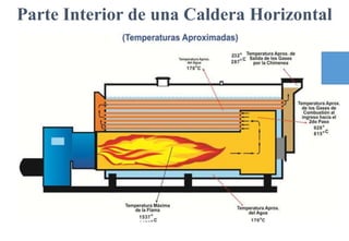 Parte Interior de una Caldera Horizontal
 