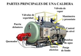 PARTES PRINCIPALES DE UNA CALDERA
Puerta
delantera
Quemador
Válvulas de
seguridad
Válvula de
vapor
Bombas
de agua
Tablero
eléctrico
Control
de nivel
Manómetro
y presostato
Purga
de fondo
 