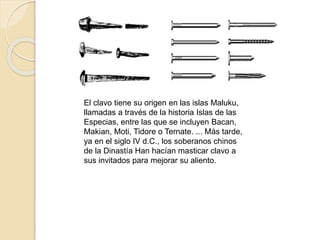 El clavo tiene su origen en las islas Maluku,
llamadas a través de la historia Islas de las
Especias, entre las que se incluyen Bacan,
Makian, Moti, Tidore o Ternate. ... Más tarde,
ya en el siglo IV d.C., los soberanos chinos
de la Dinastía Han hacían masticar clavo a
sus invitados para mejorar su aliento.
 