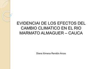 EVIDENCIAI DE LOS EFECTOS DEL
CAMBIO CLIMATICO EN EL RIO
MARMATO ALMAGUER – CAUCA
Diana Ximena Rendón Arcos
 