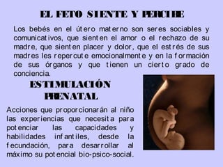 ESTIMULACIÓN
PRENATAL
Acciones que proporcionarán al niño
las experiencias que necesit a para
pot enciar las capacidades y
habilidades inf ant iles, desde la
f ecundación, para desarrollar al
máximo su pot encial bio-psico-social.
EL FETO SIENTE Y PERCIBE
Los bebés en el út ero mat erno son seres sociables y
comunicat ivos, que sient en el amor o el rechazo de su
madre, que sient en placer y dolor, que el est rés de sus
madres les repercut e emocionalment e y en la f ormación
de sus órganos y que t ienen un ciert o grado de
conciencia.
 